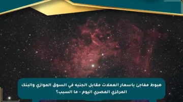 هبوط مفاجئ بأسعار العملات مقابل الجنيه في السوق الموازي والبنك المركزي المصري اليوم – ما السبب؟